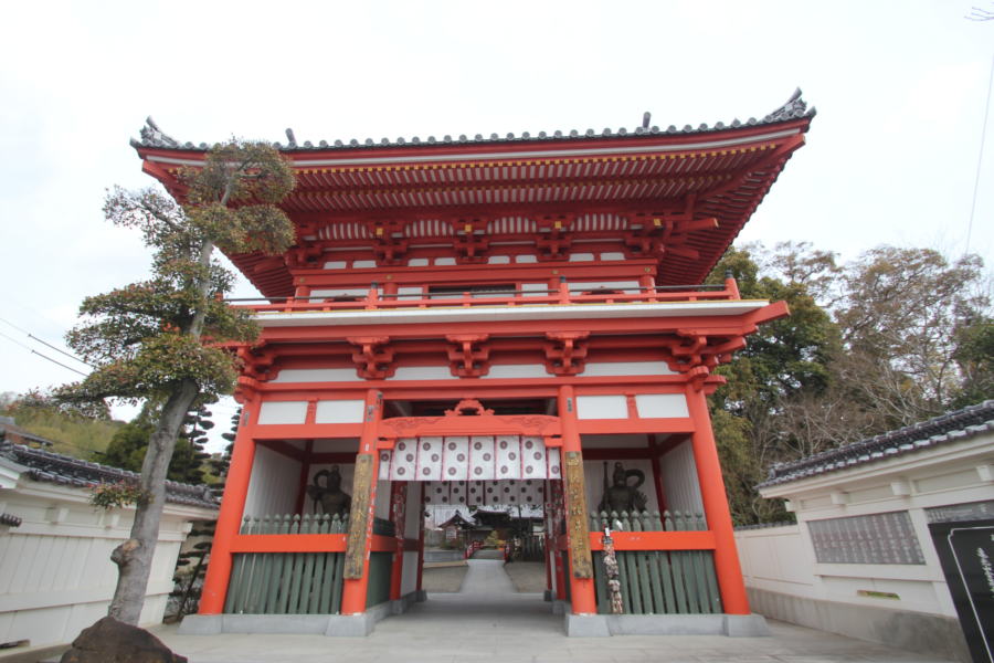 亀光山　金泉寺